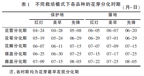 櫻桃花芽分化5.png