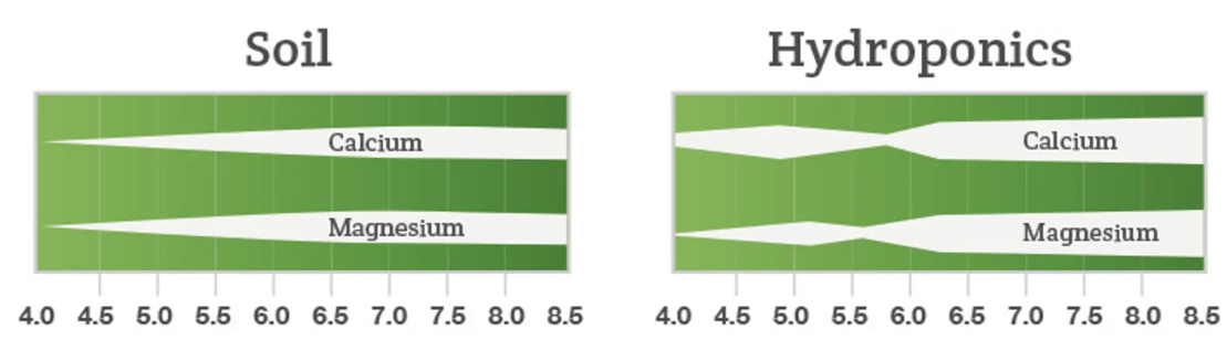 土壤及水培下不同pH下鈣鎂有效性.png
