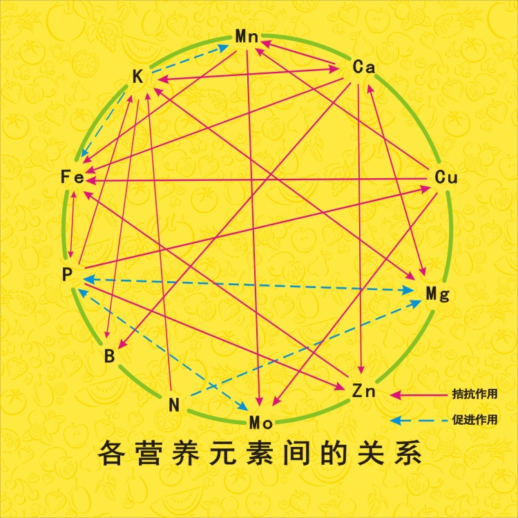 營養元素間的關系圖.jpg