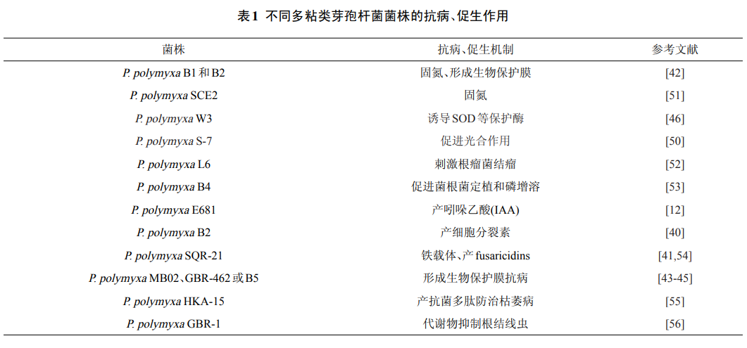 不同多粘類芽孢桿菌菌株的抗病、促生作用.png